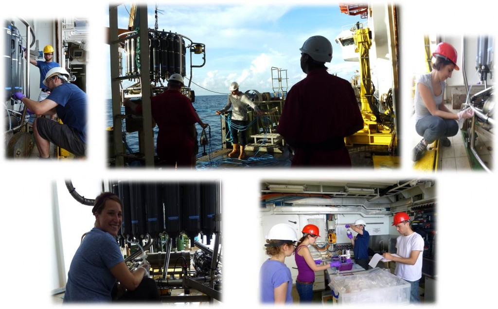 Arrived at our first sampling destination: off Carter seamount. Team seawater sampling in action. Photo by: Melanie, Vanessa, Michelle