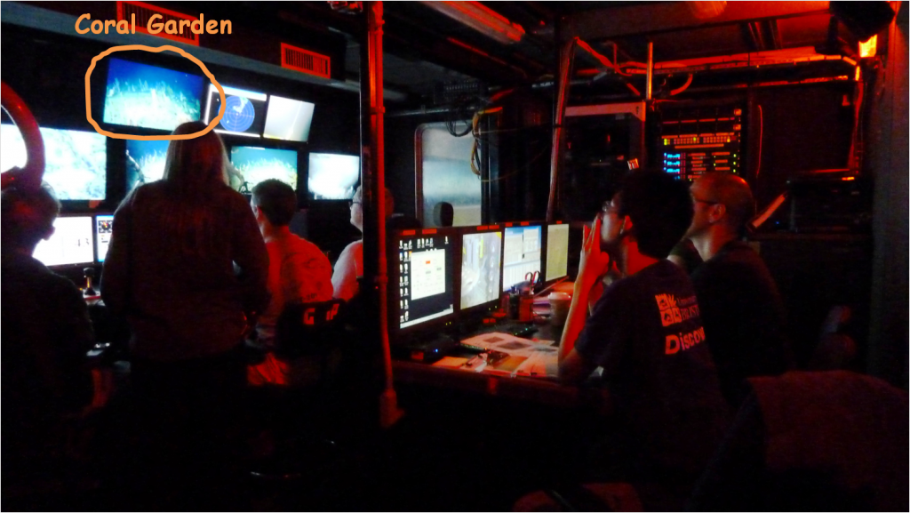 In the ROV controlling unit: Final ROV dive before saying goodbye to Carter seamount.  Photo by: Steph